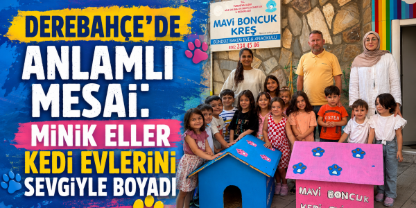 DEREBAHÇE’DE ANLAMLI MESAİ: MİNİK ELLER KEDİ EVLERİNİ SEVGİYLE BOYADI